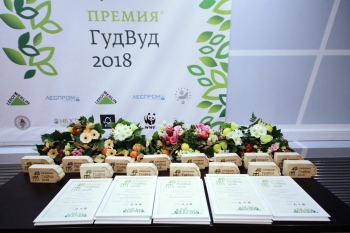 Стали известны победители экорейтинга «ГудВуд-2018» — самые «зеленые» производители и продавцы интерьерных изделий из древесины в России