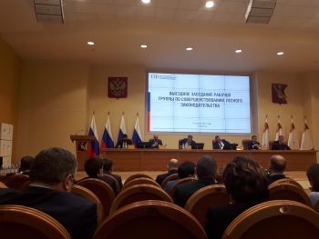 заседание межведомственной рабочей группы по совершенствованию лесного законодательства РФ