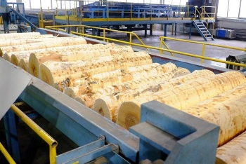 Российские компании наращивают объемы производства фанеры